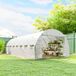 Serre de jardin 24m², 8m long x 3m large x 2m haut - 16 ouvertures, porte à fermeture éclair enroulable, structure en acier galvanisé, housse en polyéthylène, blanc