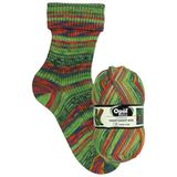 Opal - Opal Nach Hundertwasser Editie 4052-781 (425m) 4-Laags Duurzaam Sok Garen - 1x100g
