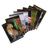 Blasetti - Animal - Maxi notitieboek A4 (21 cm x 29,7 cm) - liniatuur 4F, geruit - papier 80 g - verpakking van 10 stuks