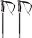 Völkl Volkl Phantastick 18mm Stokken Zilver 120 cm