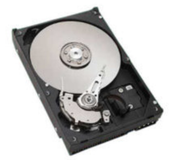 Seagate Desktop HDD - 300GB - 3.5 inch - ST3300831AS