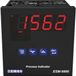 Emko ESM-9900.1.20.2.1/00.00/0.0.0.0 Procesweergave