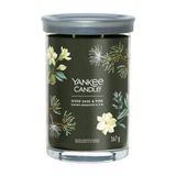 Yankee Candle Silver Sage & Pine bougie Cylindre Vert 1 pièce(s)