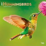 Hummingbirds BrownTrout Hummingbirds 2027 12 X 24 Inch (Hanging) Monthly Square Wall Calendar Foil Stamped Cover Plastic-Free