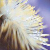 Bertus Distributie Nechto Records NECH034 EP