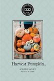 Bridgewater Geurzakje Harvest Pumpkin - Pompoen - Huisgeur Herfst Kruidig