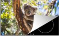 Merkloos KitchenYeah® Inductie beschermer 77x51 cm - Koala - Eucalyptus - Boom