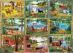 Cobble Hill Puzzle Postcards from Lake Country - 1000 pièces