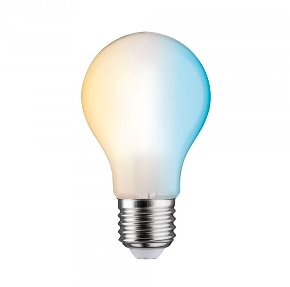 Paulmann 503.91 LED Lamp | E27 | 470 Lumen | 5W Equivalent | 40W | 15000 uur