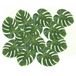 Merkloos / Sans marque Hawaii Tropical Decoratie - 12x stuks - Monstera palm bladeren - 15 x 35 cm - zomerse versiering