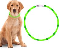 Professor Q LED Halsband Hond - Lichtgevende Halsband - Groen - USB Oplaadbaar - 20-70 cm