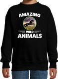 Bellatio Decorations Amazing Wild Animals Sweater paard - zwart - kinderen - 170/176