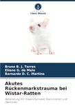 Akutes Rückenmarkstrauma bei Wistar-Ratten: Behandlung mit mesenchymalen Stammzellen und Dantrolen.DE