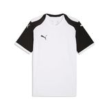 Puma Heren Teamfinal26 gebreide jersey truien (Pack van 1)