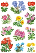 175 Stickers Herma 3582 DECOR etiketten bergbloemen