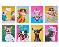 American Greetings Grappige blanco kaarten met enveloppen voor alle gelegenheden, honden en katten (48 tellen)