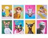 American Greetings Grappige blanco kaarten met enveloppen voor alle gelegenheden, honden en katten (48 tellen)