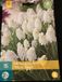 JUB - Muscari White magic