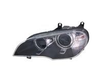 MAGNETI MARELLI Hauptscheinwerfer 710815030019 links | Compatibel met: BMW X5