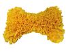 Nobby Snuffelmat Bone