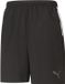 PUMA teamLIGA Sideline Shorts Heren Sportbroek - Puma Black-Puma White