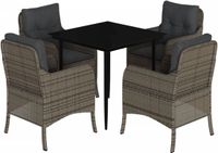 vidaXL 5-delige Tuinset met Kussens Poly Rattan Grijs
