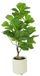 Countryfield Kunstpl ficus lyrata 15x15x66cm grn