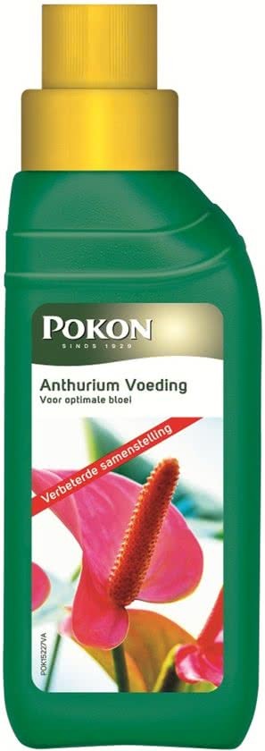 Pokon anthurium voeding 250 ml