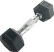 Sveltus Dumbbell Hexagonal 2 Kg Black Rubber