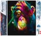 Figured'Art Diamond Painting set Adultes 40x50 cm Singe Couleur