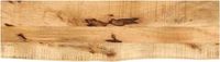 vidaXL Tafelblad met natuurlijke rand 100x20x3,8 cm massief mangohout