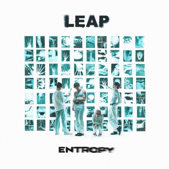 Entropy Leap - Entropy (LP)