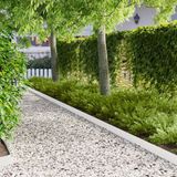 vidaXL - Gazonrand - 30 st - 103 x 10 cm - Staal - Wit