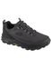 SKECHERS Sneakers laag 'Max Protect-Fast Track' antraciet / zwart