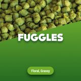 Fuggles Houblon Pellets 100g