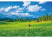Icecat Papier peint Nature Paysage avec Prairie alpine et Ciel bleu