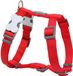 Red Dingo Harnais Pour Chien Smooth