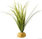 Exo Terra Ground Plant Turtle Grass per stuk