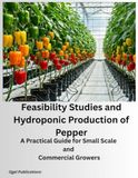 Feasibility Studies and Hydroponic Production of Pepper: A Practical Guide for Small Scale and Commercial Growers