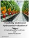 Feasibility Studies and Hydroponic Production of Pepper: A Practical Guide for Small Scale and Commercial Growers