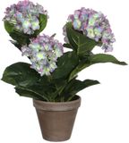 Mica Decorations Hortensia Plante artificielle dans un pot de fleurs Stan - H40 x Ø35 cm - Violet