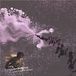 Crispy Ambulance - The Powder Blind Dream (CD)