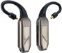 iFi Audio GO pod Max Draagbare Bluetooth DAC/Amp