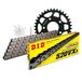 Kettingset DID Kettingset staal 520VX3 / 110 klinkslot voor Honda NSR R 125 cc bj. 1994-1997