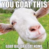 Willow Creek Press You Goat This 2027 12 X 12 Wall Calendar