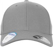 Flexfit 110 Flexfit ProFormance pet - Grijs