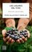 Los Planeta Gastro Los lugares del vino Paperback 400 pages