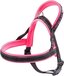 Ferplast Sport Hondentuig - Roze - Maat S