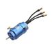 Dynamit DYNM3915 motoren, meerkleurig