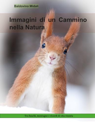 Immagini di un Cammino nella Natura: Tra boschi, montagne e ricordi di vita vissuta